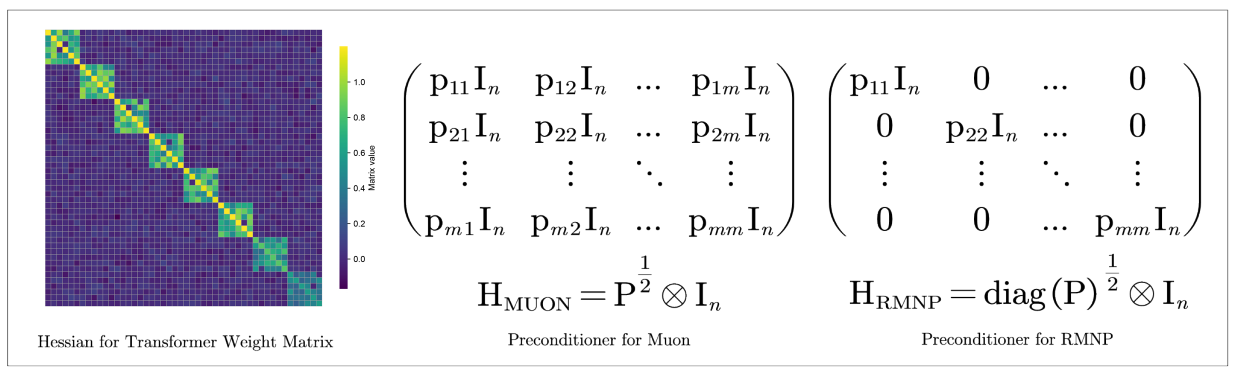 Transformer layer-wise Hessian vs. the Muon and RMNP preconditioners